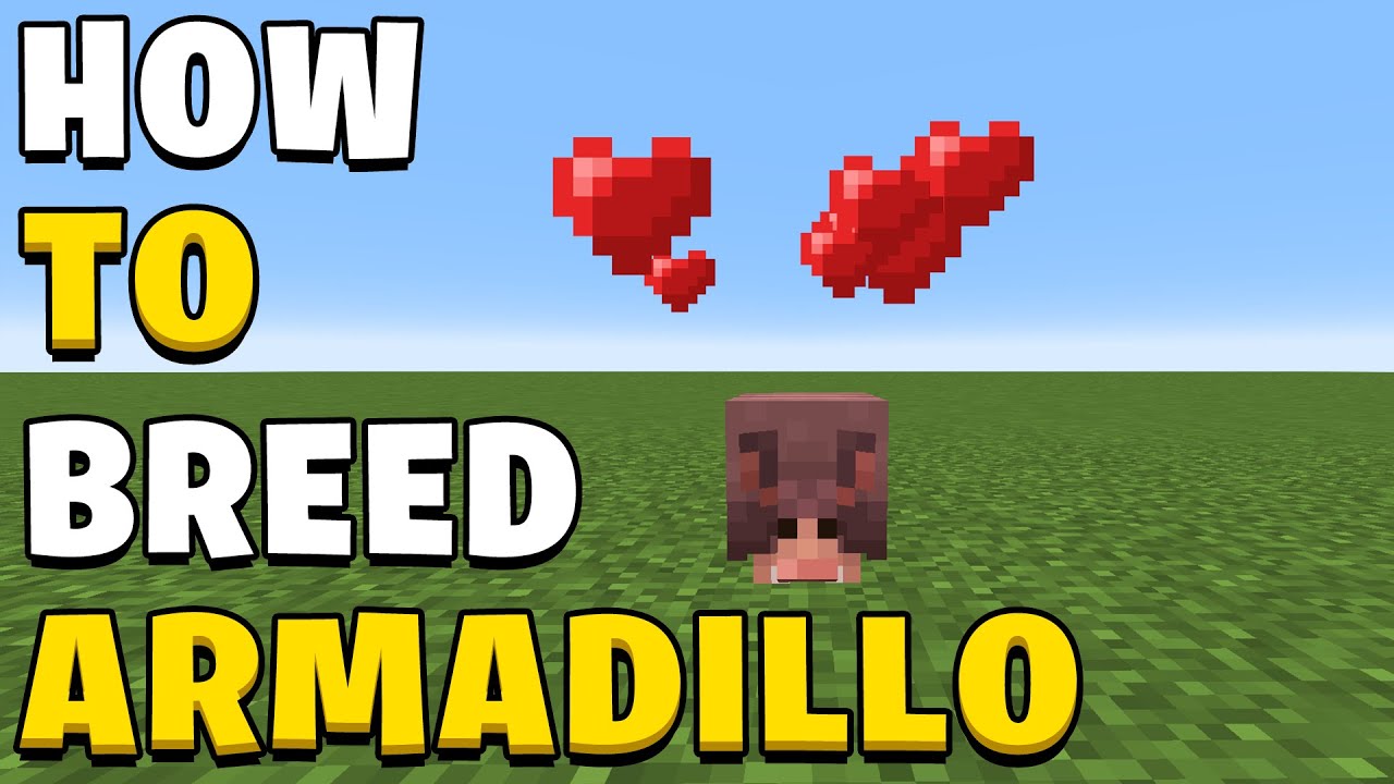 breed armadillos in minecraft